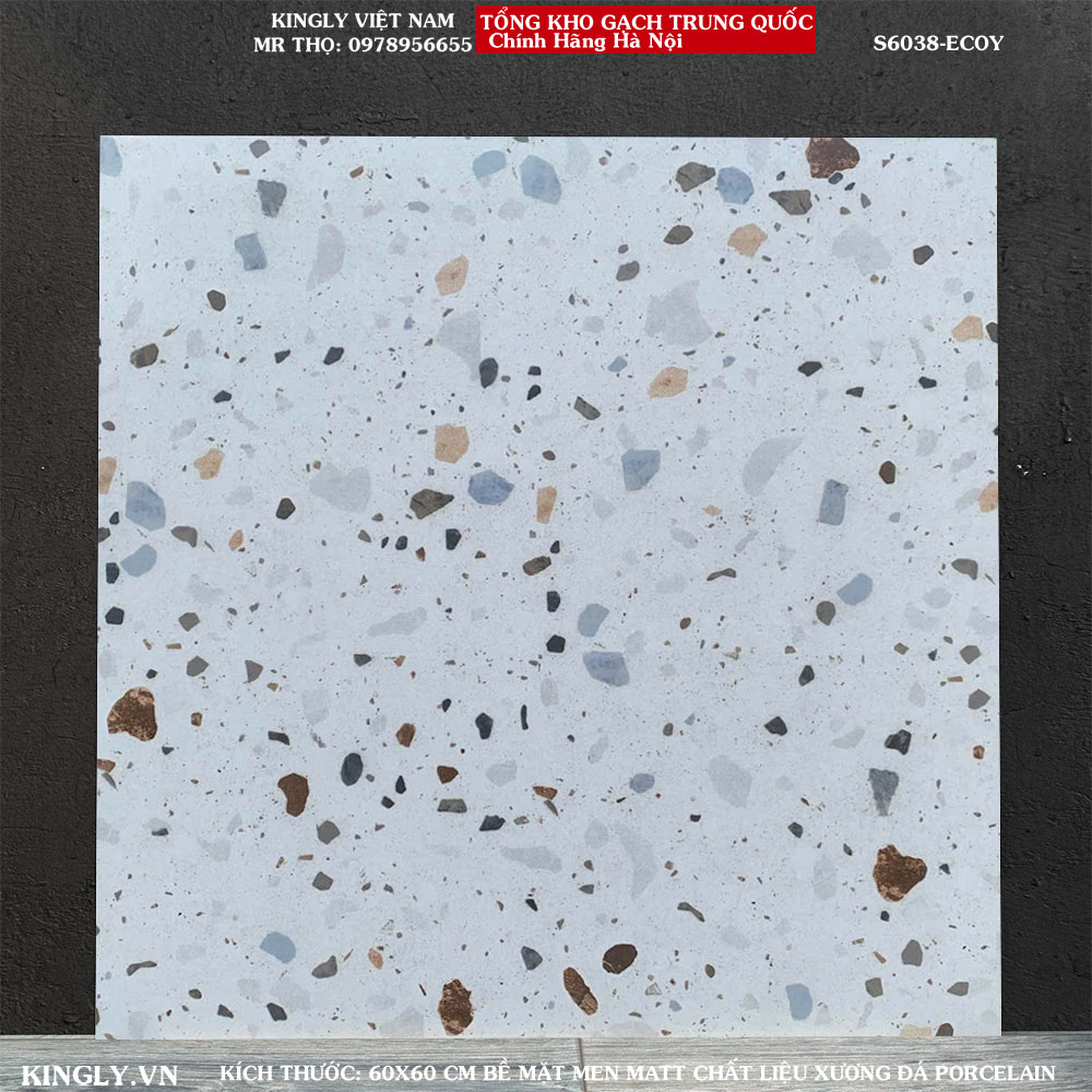 Gạch Terrazzo 60x60 S6038